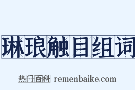 琳琅触目组词是什么意思的图片